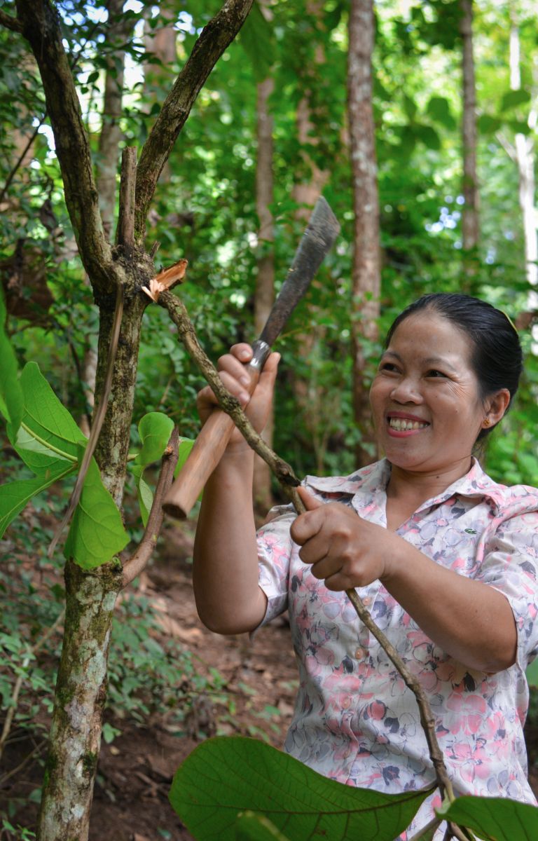 Introduction to forest landscape restoration in Southeast Asia | RECOFTC